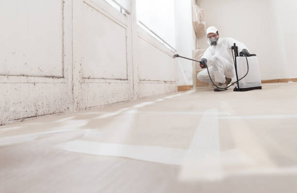24/7 Emergency Mold Remediation experts in Pineville, NC